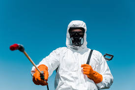 Best Fumigation Services  in Menands, NY